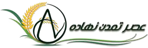 عصر تمدن نهاده (بازرگانی شاهی)