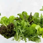 بذر سبزیجات