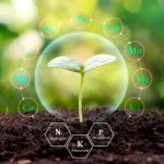 تقویتی گیاهان