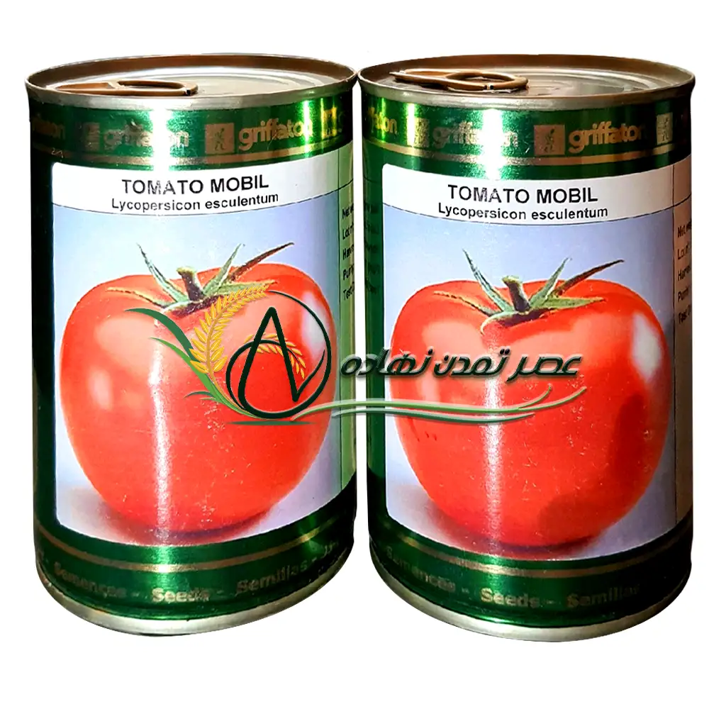 بذر گوجه مبیل گریفاتون tomato mobil griffaton